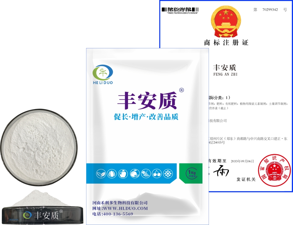 豐安質(zhì) 豐安質(zhì)