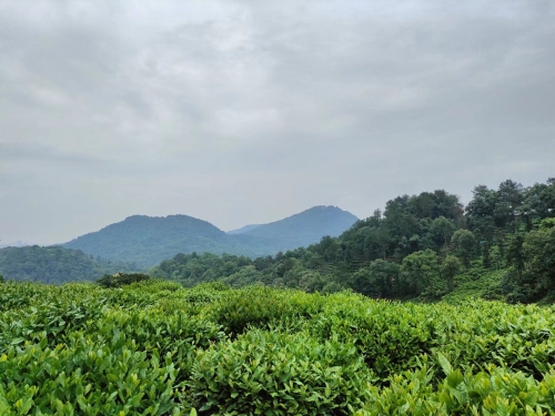 禾利多的安全與環(huán)保