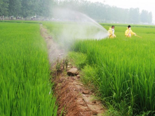 2024年植保進展與展望發(fā)布